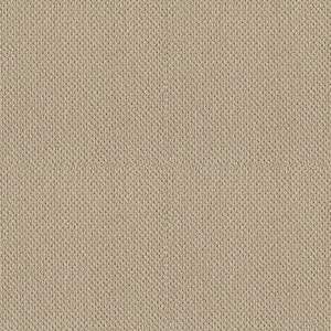 Lightbourne - Coastline - Beige 39.3 oz. Nylon Loop Installed Carpet