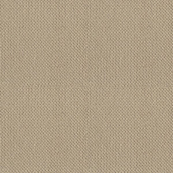 Lightbourne - Coastline - Beige 39.3 oz. Nylon Loop Installed Carpet