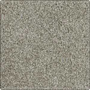 Denfort  - Perfect Taupe - Brown 70 oz. Triexta Texture Installed Carpet