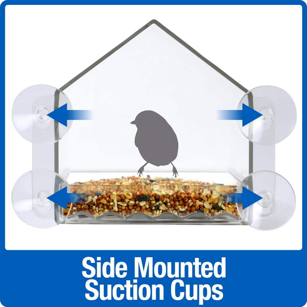 Clear Plastic Window Bird Feeder with Suction Cups