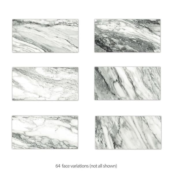 Touche Zebre 11-3/4 in. x 11-3/4 in. Porcelain Floor and Wall Take Home Tile Sample