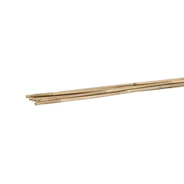 Vigoro 6 ft. Bamboo Garden Stakes (6-Pack)