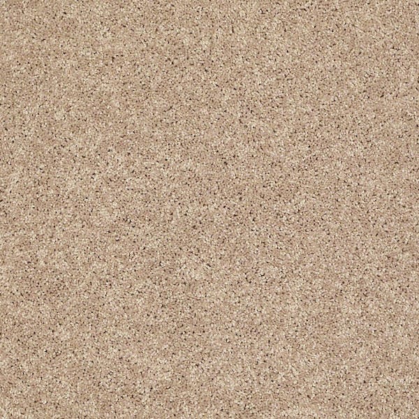 TrafficMaster 8 in. x 8 in. Texture Carpet Sample - Palmdale II - Color Gentle Breeze