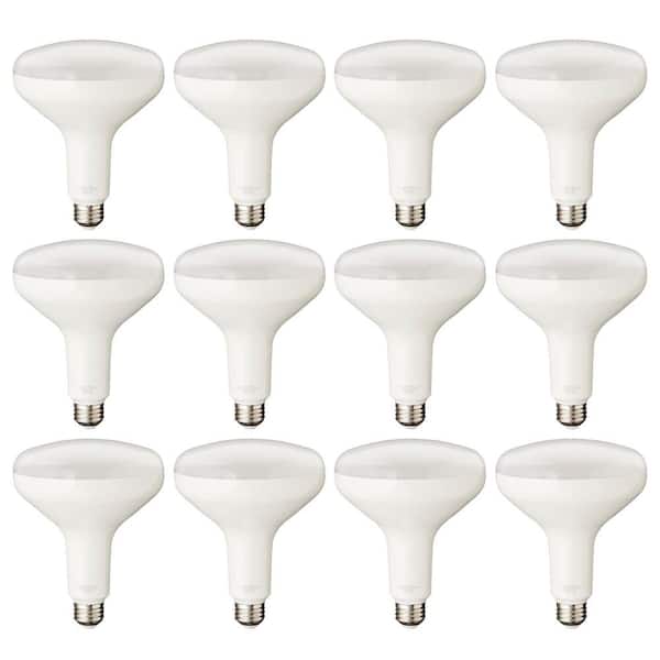 PRIVATE BRAND UNBRANDED 75-Watt Equivalent BR40 Dimmable LED Light Bulb Daylight (12-Pack)