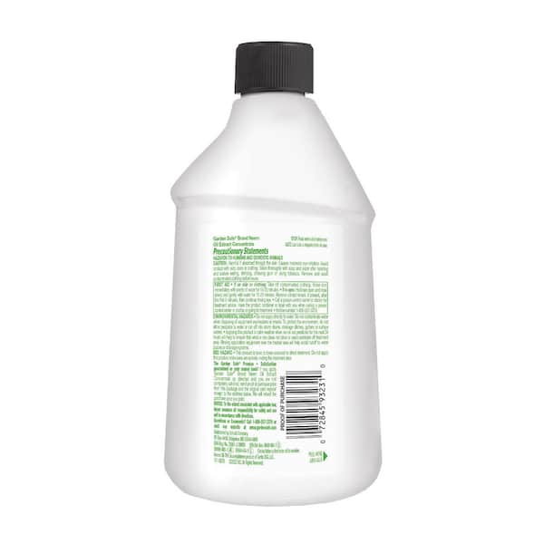 fertilizer for pineapple plant White Jade Pineapple Plant | Easy Indoor Plant | PlantingTree.com