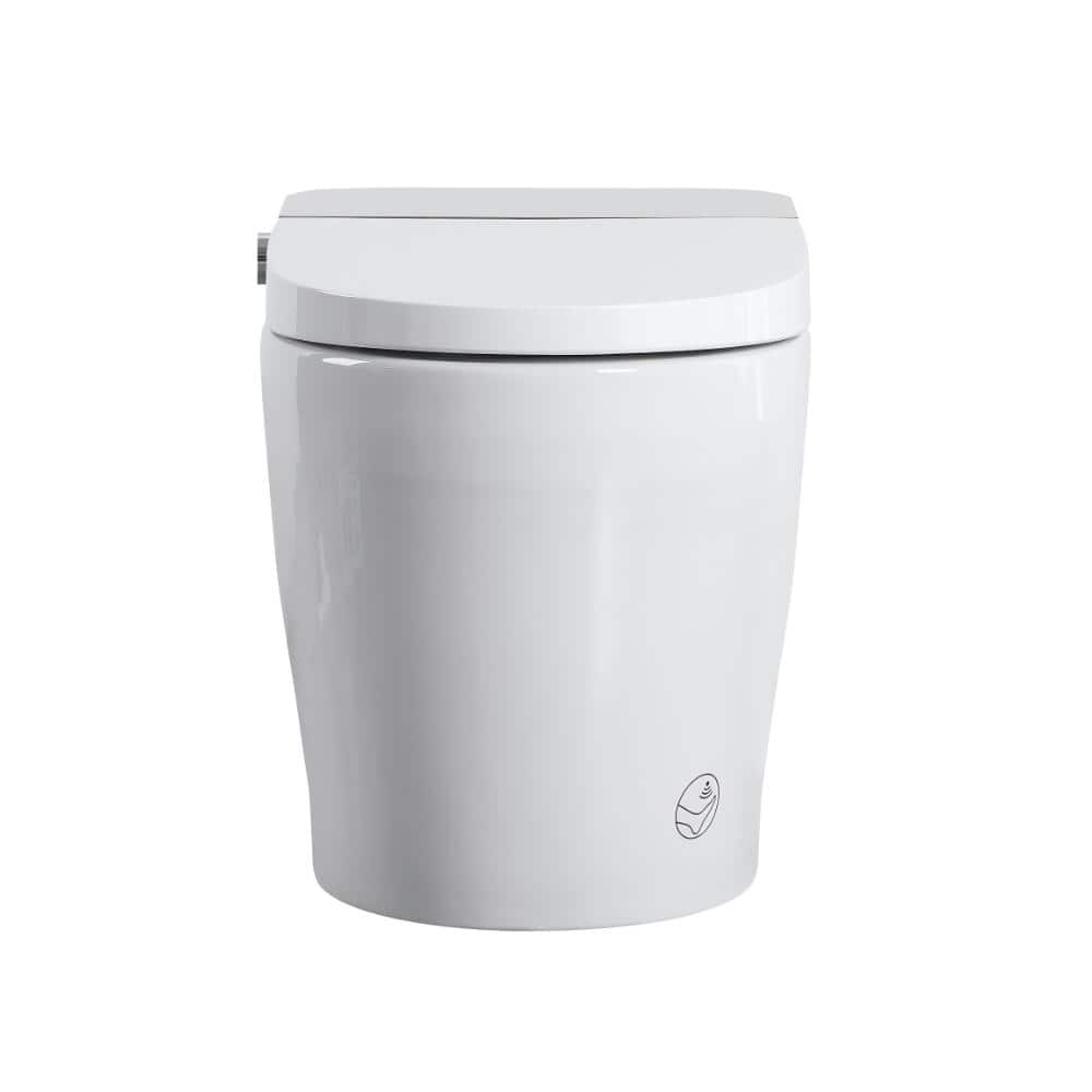 One-Piece Smart Bidet Toilet, Auto Open Close Seat, Heated Seat, Adjustable Warm Water Dryer & Side Control Knob price history on PriceWatchPro
