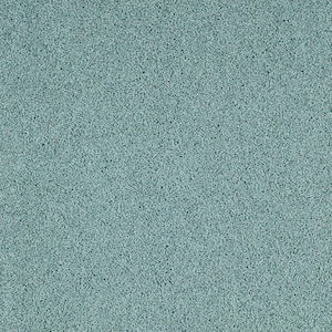 Cleoford Siren Blue 47 oz. Triexta Texture Installed Carpet