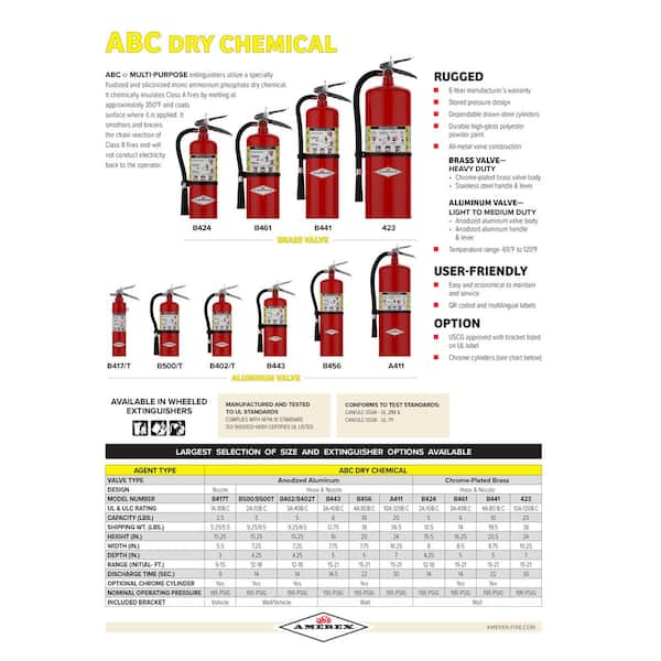 AMEREX 1-A:10-B:C 2.5 lbs. ABC Dry Chemical Fire Extinguisher B417T - The  Home Depot