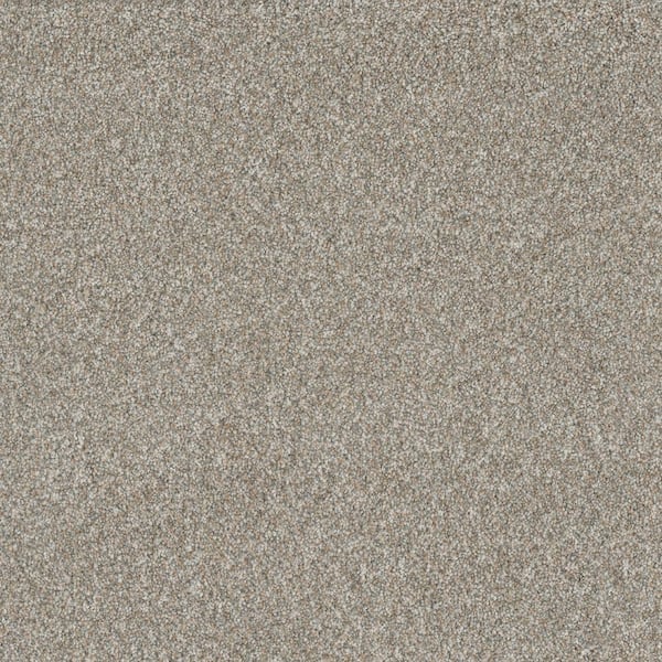 Lifeproof Hazelton I - Groovy - White 40 oz. Polyester Texture Installed Carpet