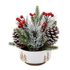 8.5 in. H Christmas Arrangement in 6 in. White Ceramic Reverse Tree Pot with Pinecones and Berries