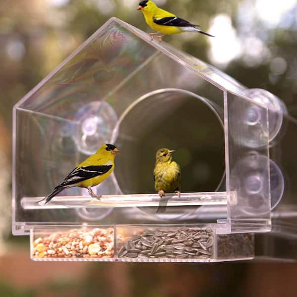 12 in. Outdoor Clear Window Bird Feeder - Window Bird Feeder with Strong  Suction Cup, Transparent Bird House B00YSU3WG2 - The Home Depot