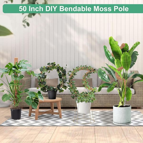 fake philodendron 23