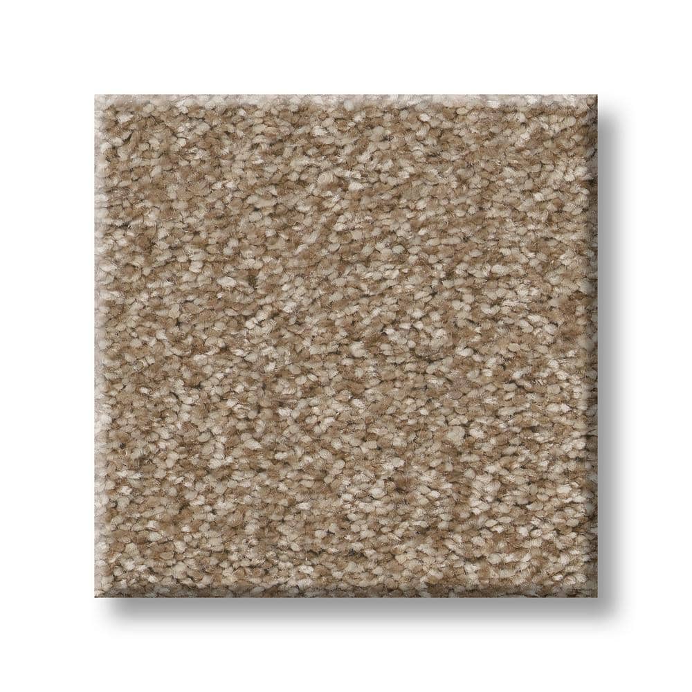 8 in. x 8 in. Texture Carpet Sample - Rosemary I -Color Parchment price history on PriceWatchPro