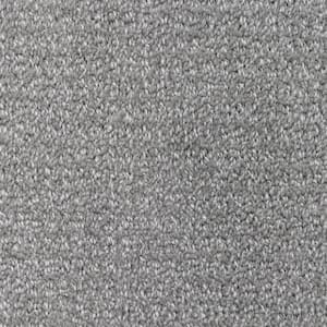 TrafficMaster 8 in. x 8 in. Pattern Carpet Sample - Tailgate Classic