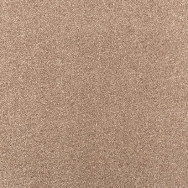 Lifeproof with Petproof Technology Waking Up I Muted Brown 37 oz. Triexta Textured Installed Carpet