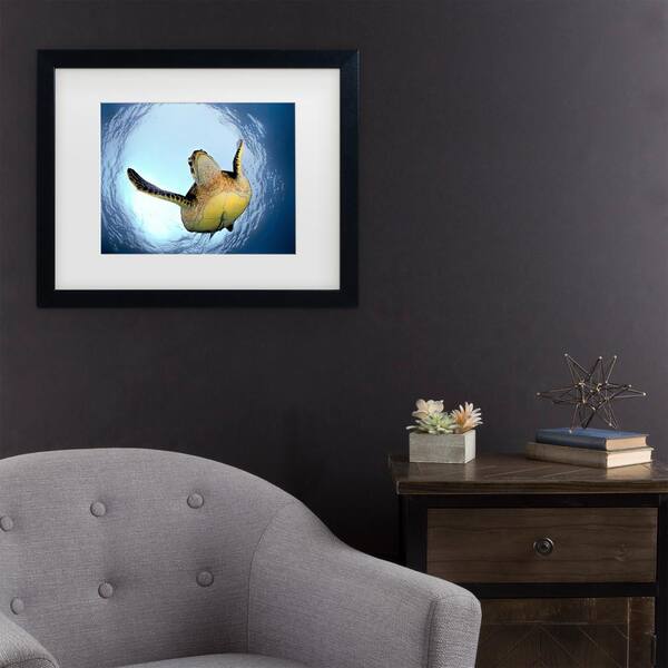 Trademark Fine Art Henry Jager Green Turtle in Snells Window