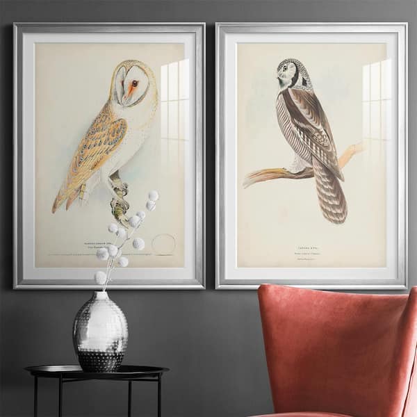 Hawk Owl by Wexford Homes 2-Pieces Framed Abstract Paper Art Print 22.5 in. x 30.5 in., Silver