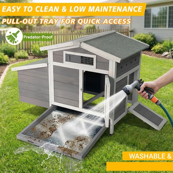 Outdoor Free-Range Wooden Chicken Coop with Asphalt Roof, Leak