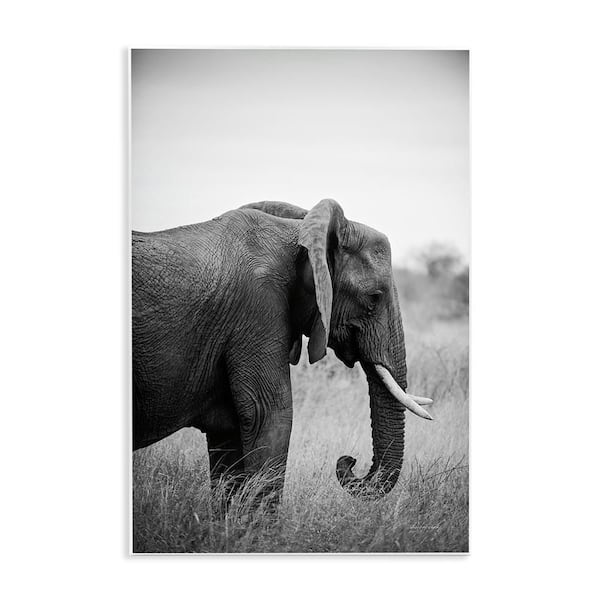 Stupell Industries Side Profile Elephant by Sharon Vardy Unframed Animal Graphic Art Print 19 in. x 13 in.