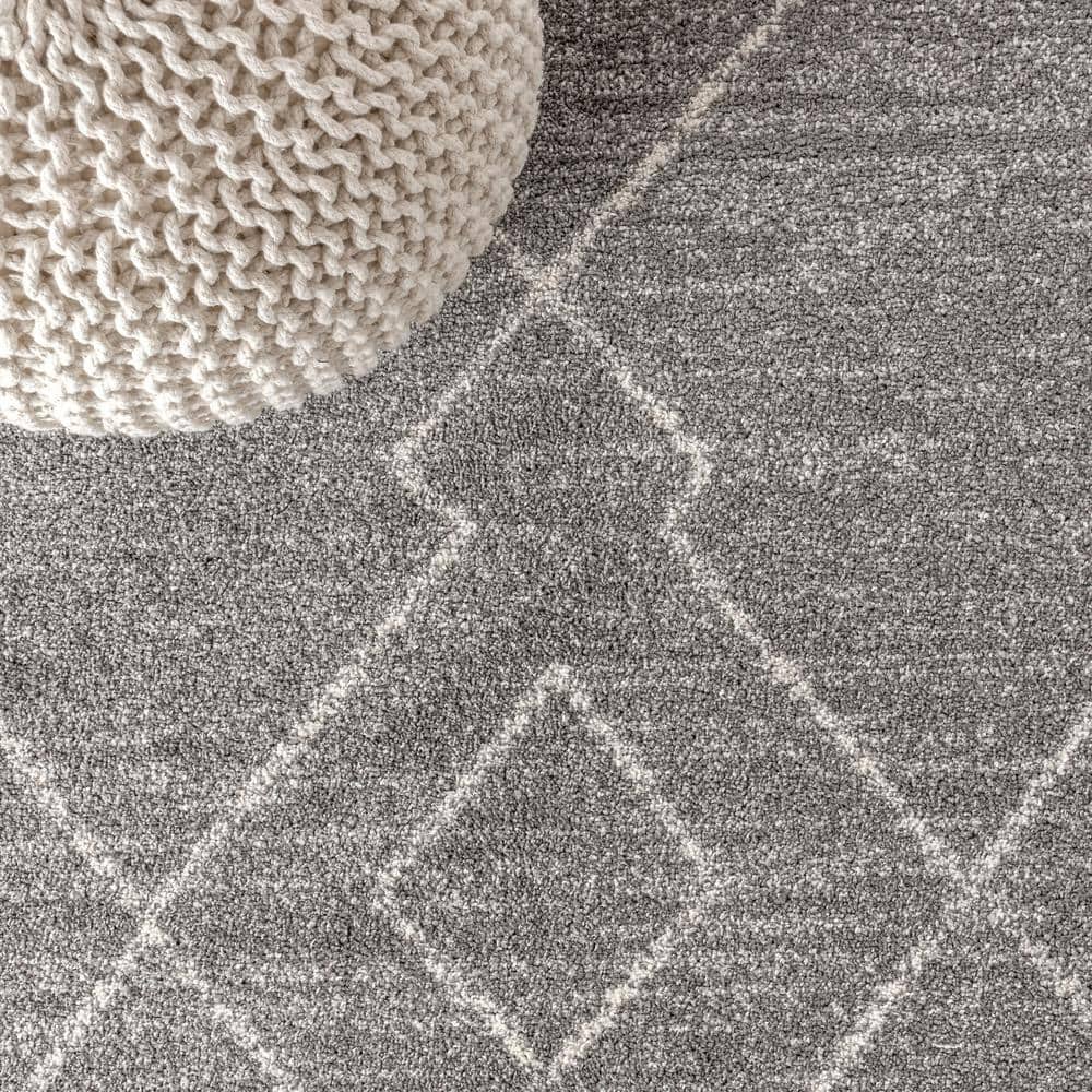Braided Gray Geometric Synthetic 8' x 10' Area Rug