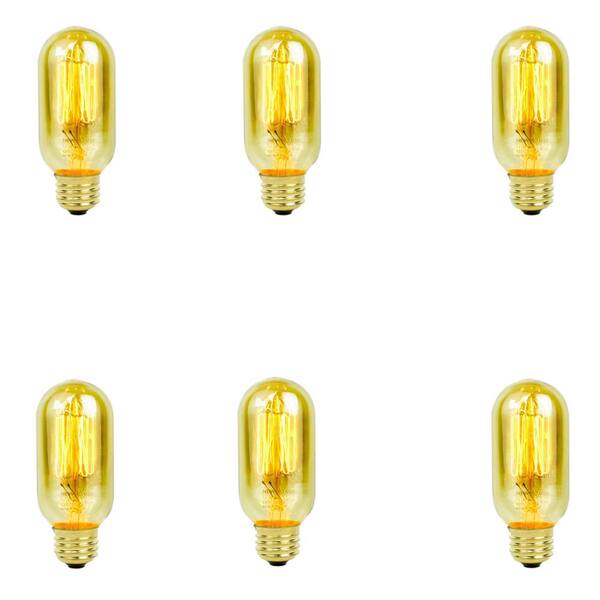 Newhouse Lighting 60-Watt Incandescent T45 Thomas Edison Vintage Filament Light Bulb (6-Pack)