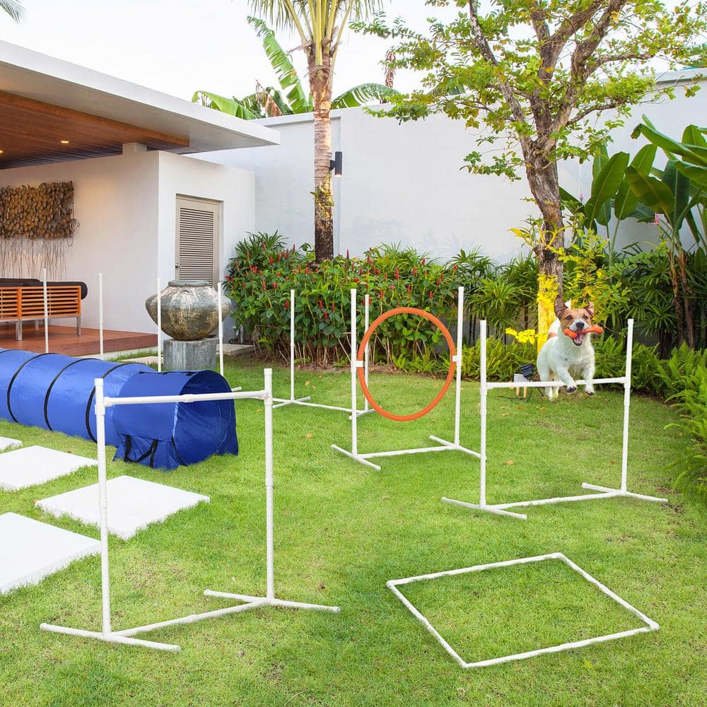 Six-Piece Adjustable Dog Agility Training Set with Carry Bag