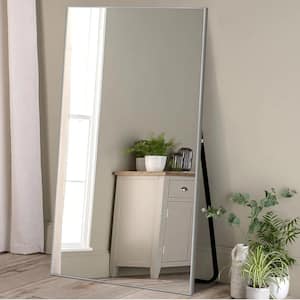 31 in. W x 71 in. H Rectangle Framed Full Length Mirror Wall-Mounted Mirror in Sliver