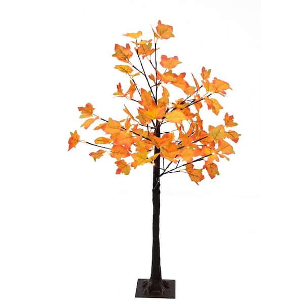 Fraser Hill Farm 4 ft. Harvest Maple Tree