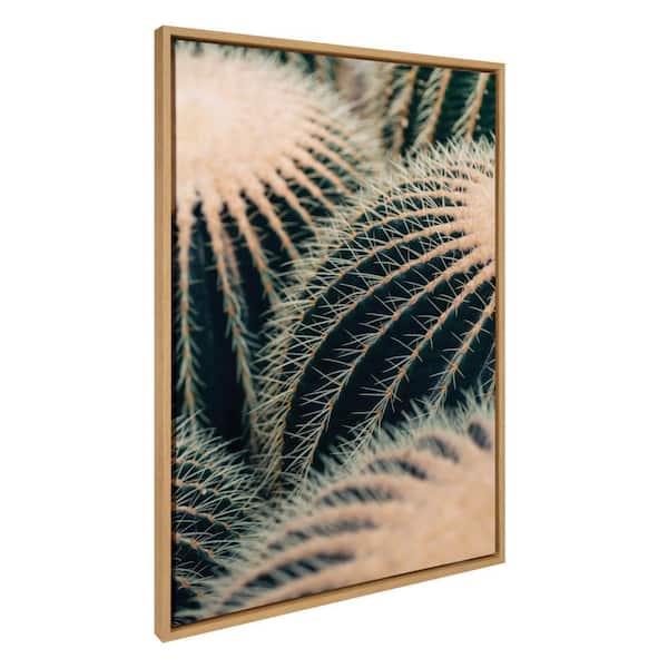 Kate and Laurel Sylvie Barrel Cactus Framed Canvas by Alicia Bock Set of 1 Nature Art Print 28.00 in. x 38.00 in.