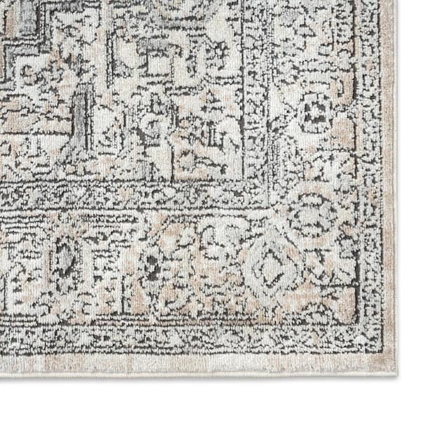 Summer Quinn Beige/Multi 5 ft. x 7 ft. Medallion Area Rug