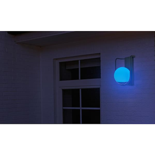 LUTEC 1-Light Black Outdoor Smart Home Light Smart - with Mount 5106801012 Sconce WiFi A19 Bulb The Lantern Included Wall Depot