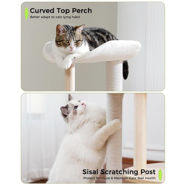 cenadinz Small and Medium Cat Tree Cat Tower for Indoor Cats