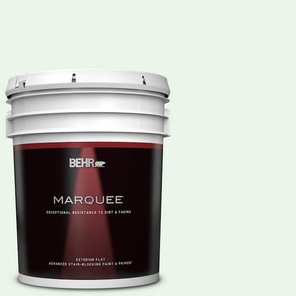 BEHR MARQUEE 5 gal. #460A-1 Bubble Flat Exterior Paint & Primer