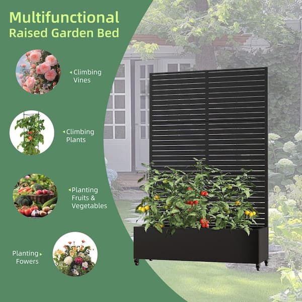 SpassWay 6 ft. H x 4 ft. W Metal Planter Box with Trellis Black