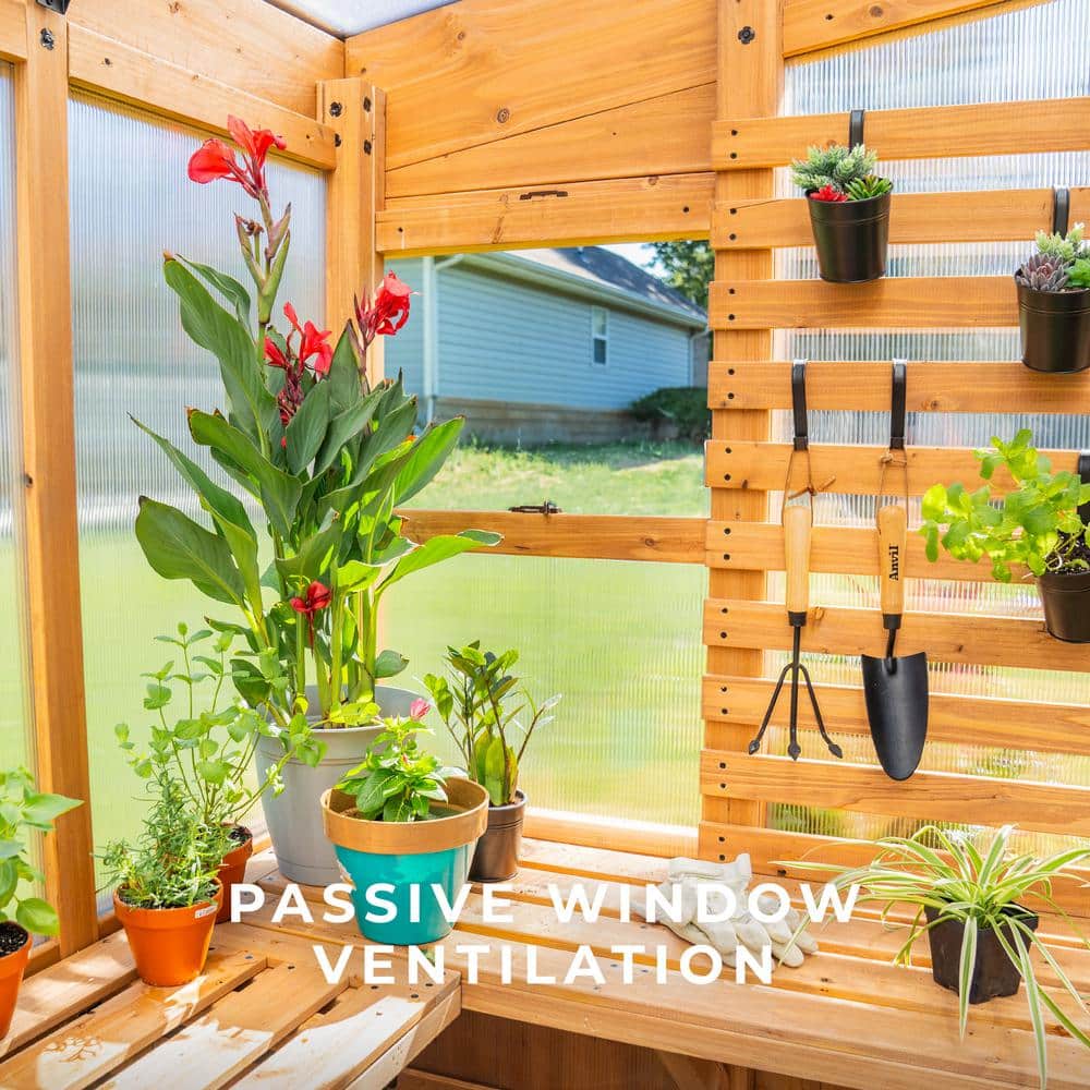 Zalie Cedar and Polycarbonate Modern Greenhouse