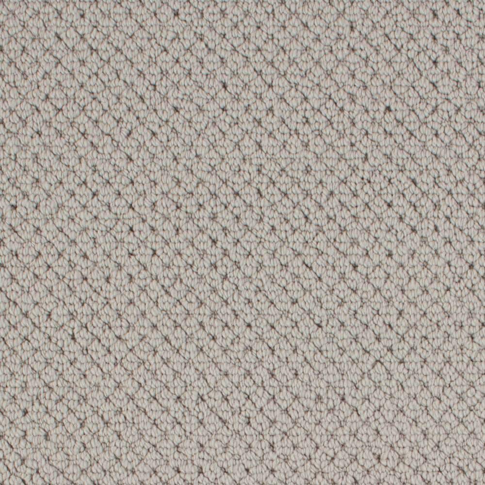 8 in. x 8 in. Pattern Carpet Sample - Abbotts Gate -Color Mineral price history on PriceWatchPro