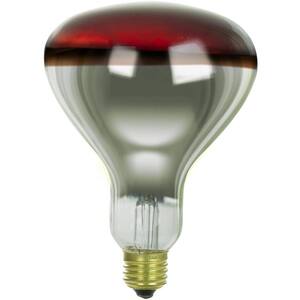 250-Watt R40 Incandescent Dimmable Medium Base Transparent Red Heat Lamp Bulb (1-Pack)
