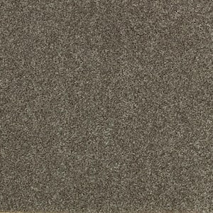 Denfort - Dakota-Brown 70 oz. Triexta PET Texture Installed Carpet