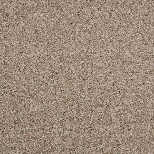 Lifeproof Phenomenal I  - Bittersweet - Brown 48.3 oz. Triexta Texture Installed Carpet