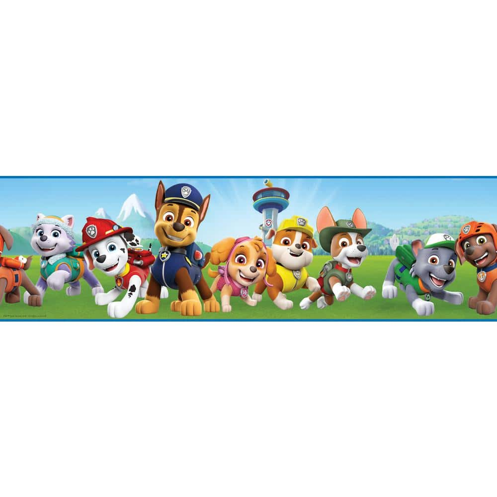 Vinyl and children's stickers rocky the paw patrol