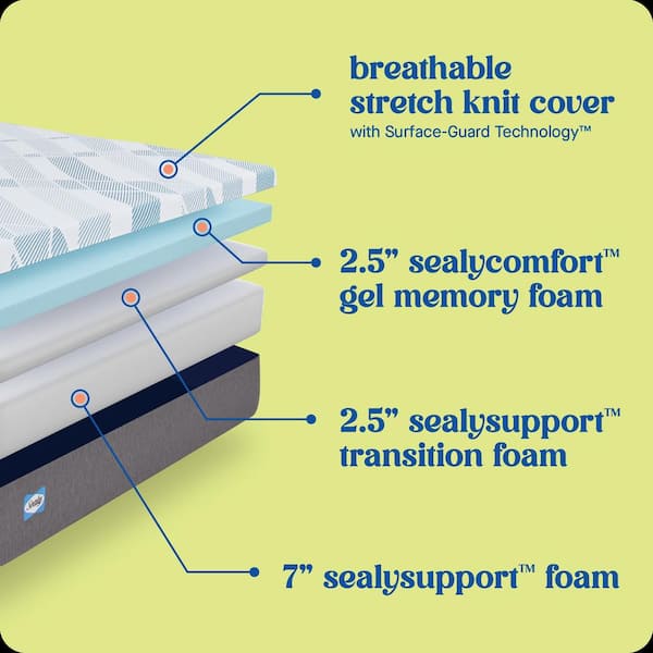 Dreamlife King Soft Memory Foam 12 in. Bed-in-a-Box Mattress