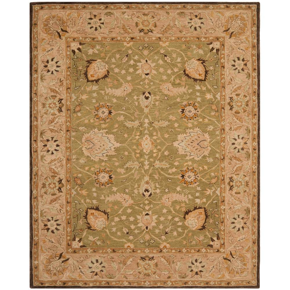 Anatolia Sage/Beige 10 ft. x 14 ft. Border Area Rug price history on PriceWatchPro