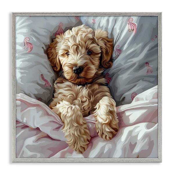 Stupell Industries Nap Time Cuddling Labradoodle by Jim Baldwin Gray Framed Animal Giclee Art Print 12 in. x 12 in.