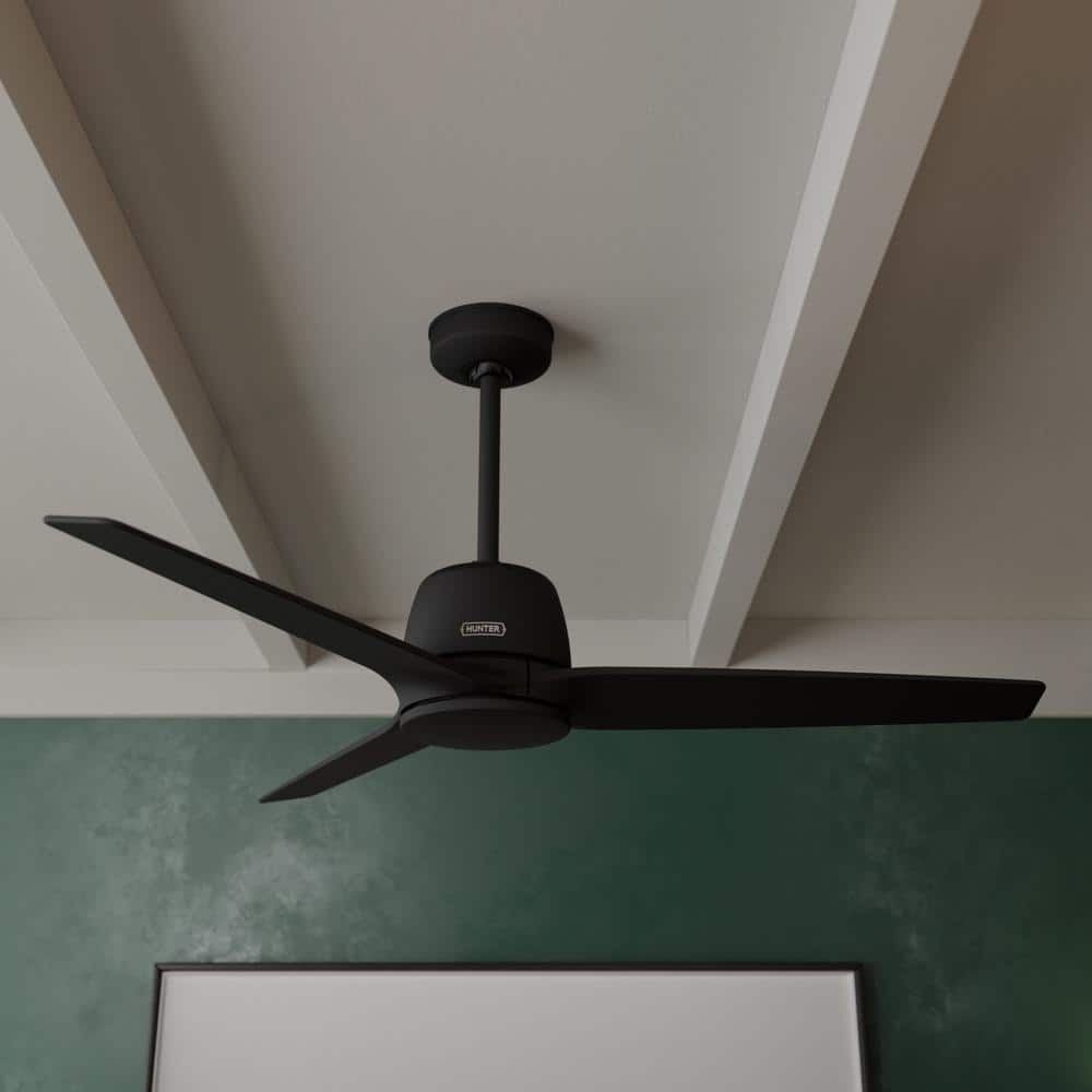 Hunter Malden 52 in. Indoor Ceiling Fan Matte Black with Remote