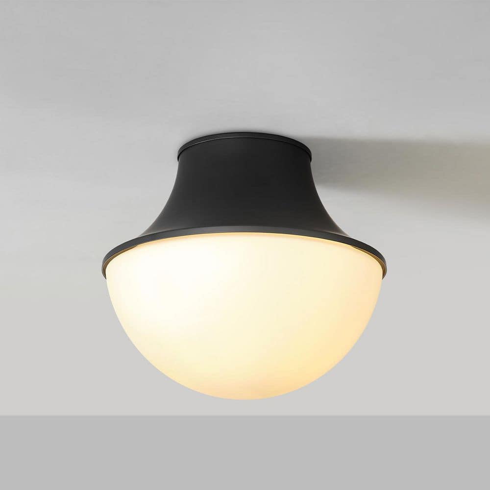 10 in. 1-Light Matte Black Flush Mount Ceiling Light with Frosted Glass Shade price history on PriceWatchPro