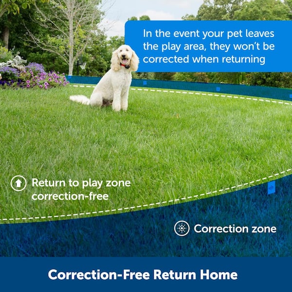 Wireless Indoor Pet Barrier, Static Shock and Tone Correction, Hidden Fence  for Dogs with Collar