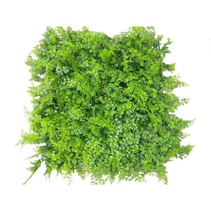 20 in. H x 20 in. W GorgeousHome Artificial Boxwood Hedge Greenery Panels,StyleB (12-pc)