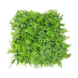 20 in. x 20 in. Style Artificial Boxwood Hedge Screen Mat for Outdoor Patio and Deck Privacy (Set of 8/Piece)