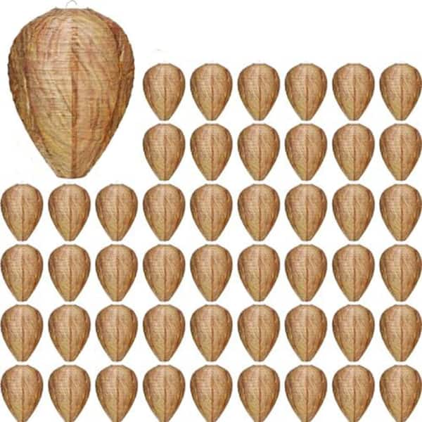 Outdoor Wasp Nest Fake Trap with Realistic Honeycomb Paper Durable Deterrent Easy Hang Yellow 50-Pack