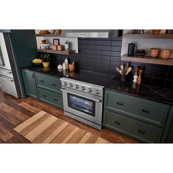 36 in. 6.0 cu. ft. Electric Range with Convection in Stainless Steel